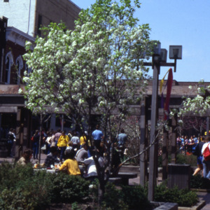 Pedestrian Mall, East College Street, 1980s