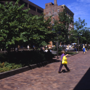 Pedestrian Mall and Plaza, 1980s
